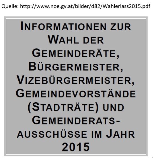 Informationen zum Wahlablauf