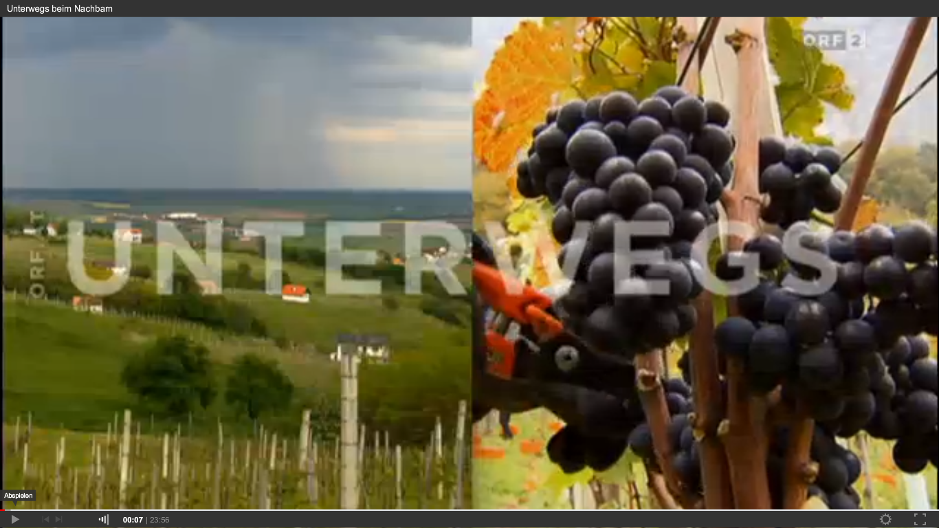 ORF – Sendungstipp – vom Gurkerl zum Wein