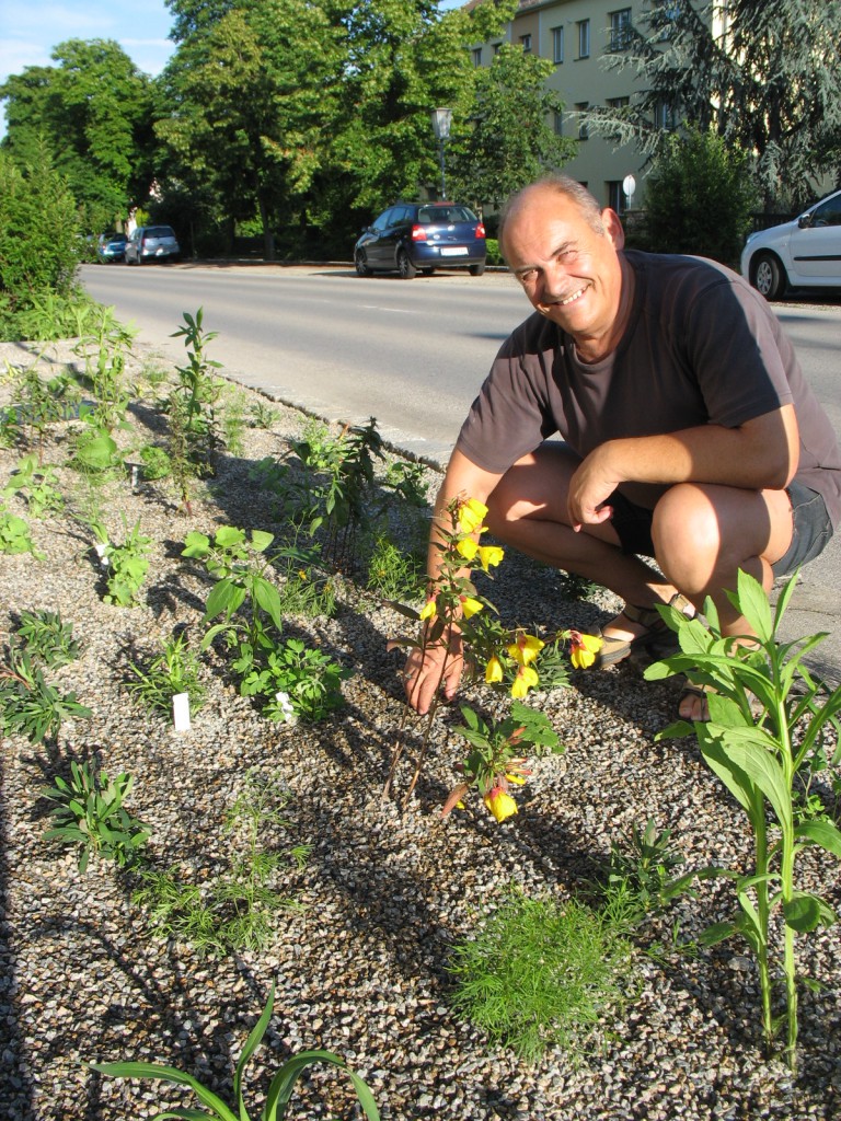 Neue Wege im Grünraum in Retz sollen Beete unkrautfrei halten