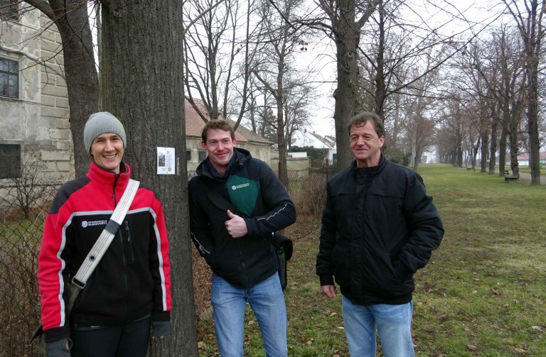 Baumkataster in Retz – Umsetzung hat begonnen
