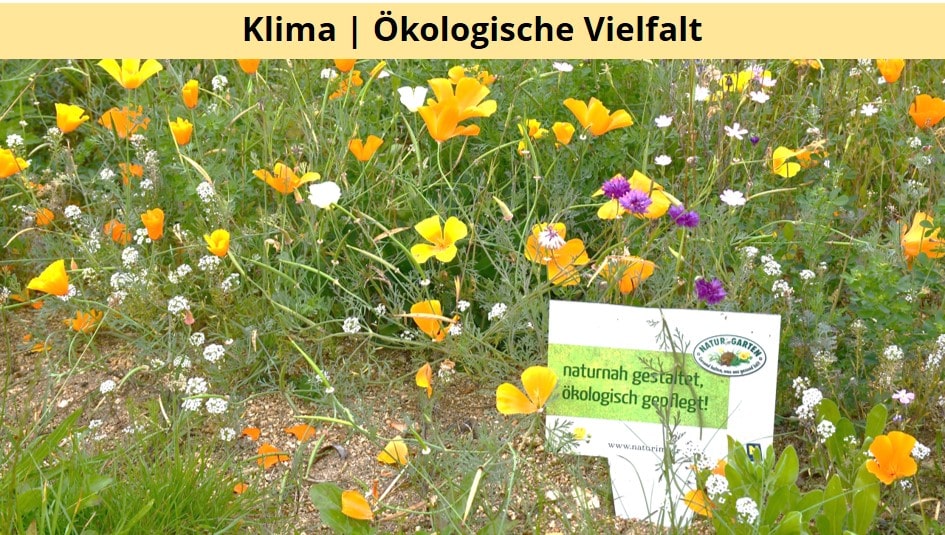 Vielfalt